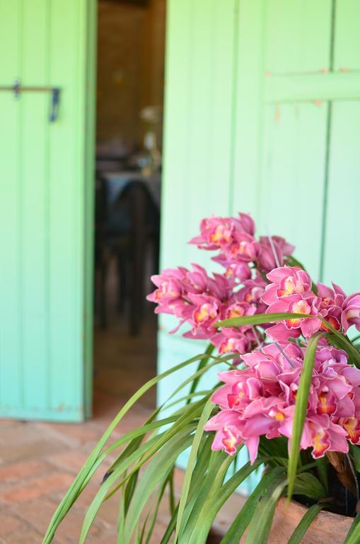 Hotel Cafezal Em Flor Turismo E Cafes Especiais Monte Alegre do Sul Exteriér fotografie